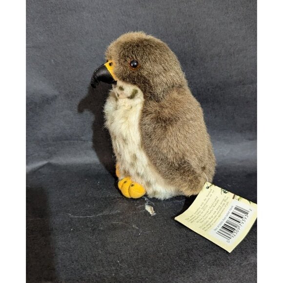 Audubon Red-Tailed Hawk 2012 Plush Wild Republic Birds K&M no sound Robin - Picture 2 of 13